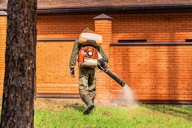 Trusted Ant Control service in Lone Oak, TN - Nex Pest Control